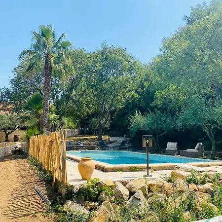 Magnifique Typique Du Sud Avec Piscine Privee Et Jardin Mediterraneen 펜션 Saint-Vincent-de-Barbeyrargues