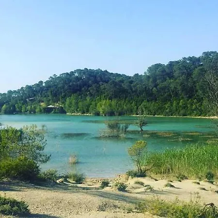 Magnifique Typique Du Sud Avec Piscine Privée Et Jardin Méditerranéen * Saint-Vincent-de-Barbeyrargues